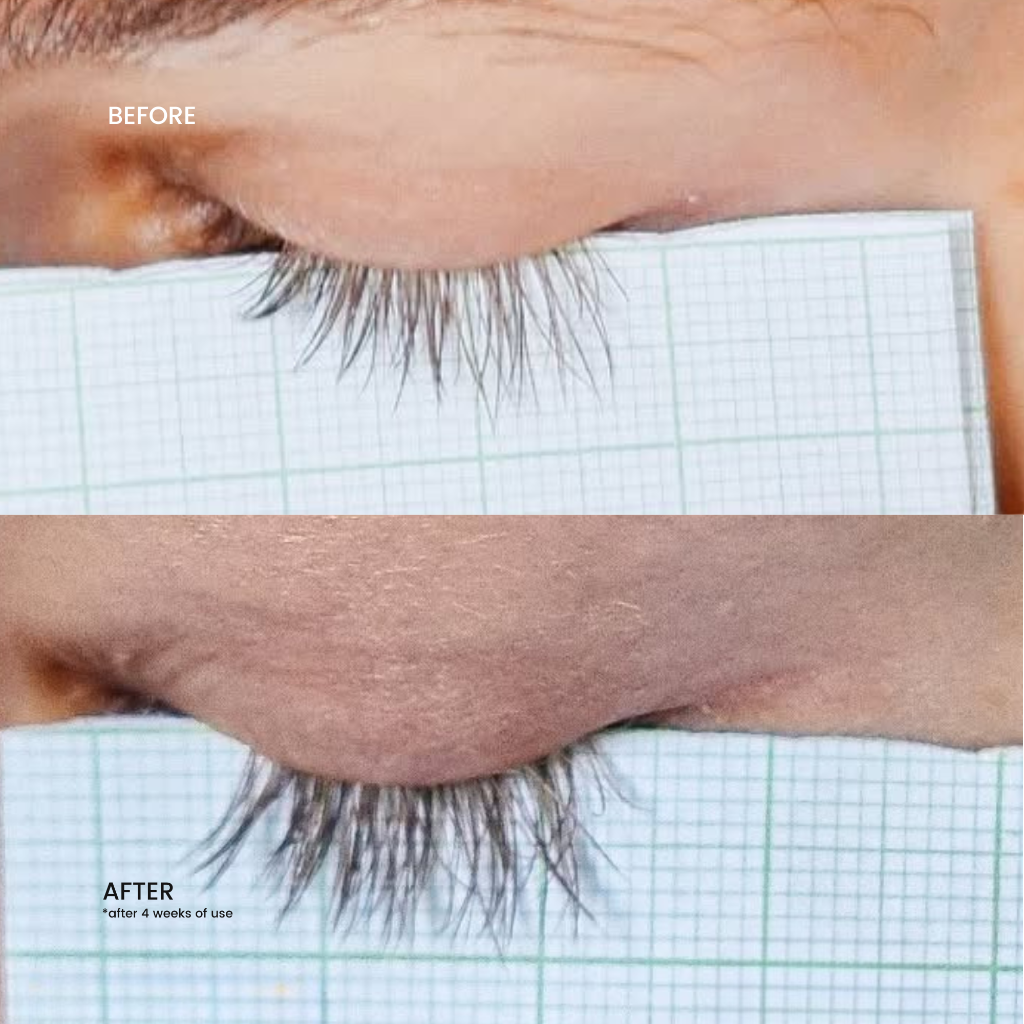 Brow & Lash Serum - Ny formula